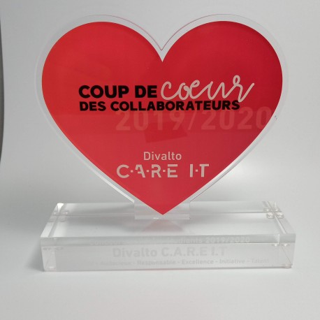 Coeur plexi