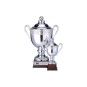 COUPE GOLF TROPHY