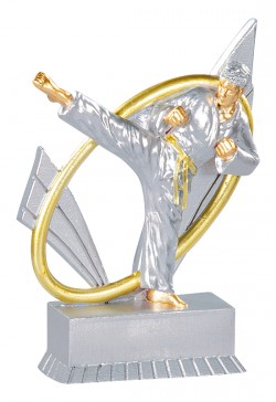 Trophée Karaté 31419