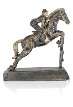 Trophée Équitation 52538