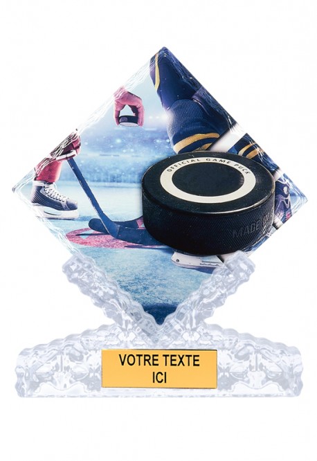 Trophée Céramique Hockey sur glace 46113