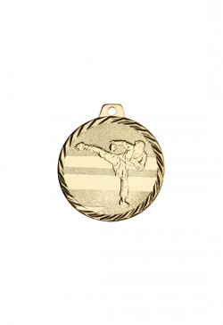 Médaille Ø 50 mm Karaté  - NZ11