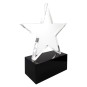 BIG STAR