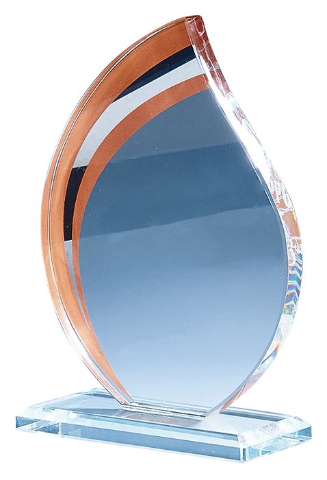 Trophée Verre Personnalisé 170-01-CLI