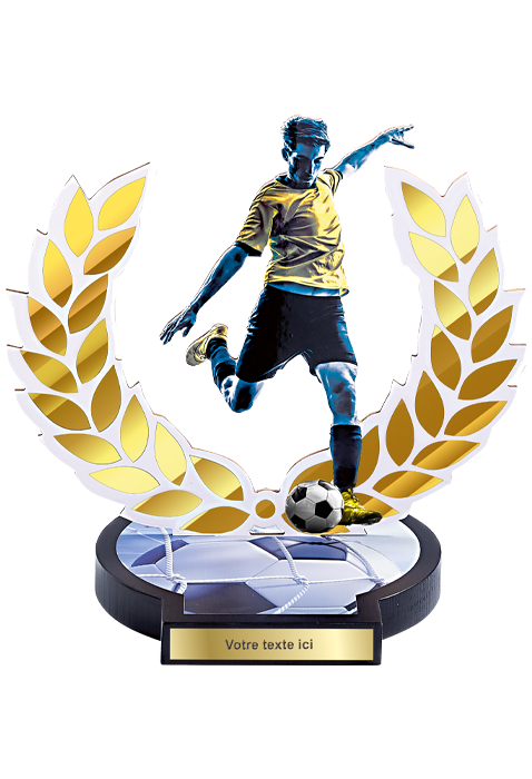 Trophée Bois Football 56504