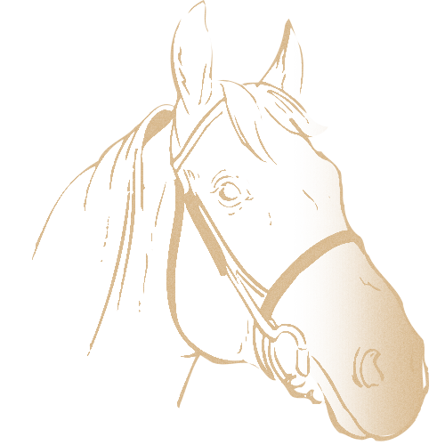 Plateau Métal Personnalisé : 185-31-CLI