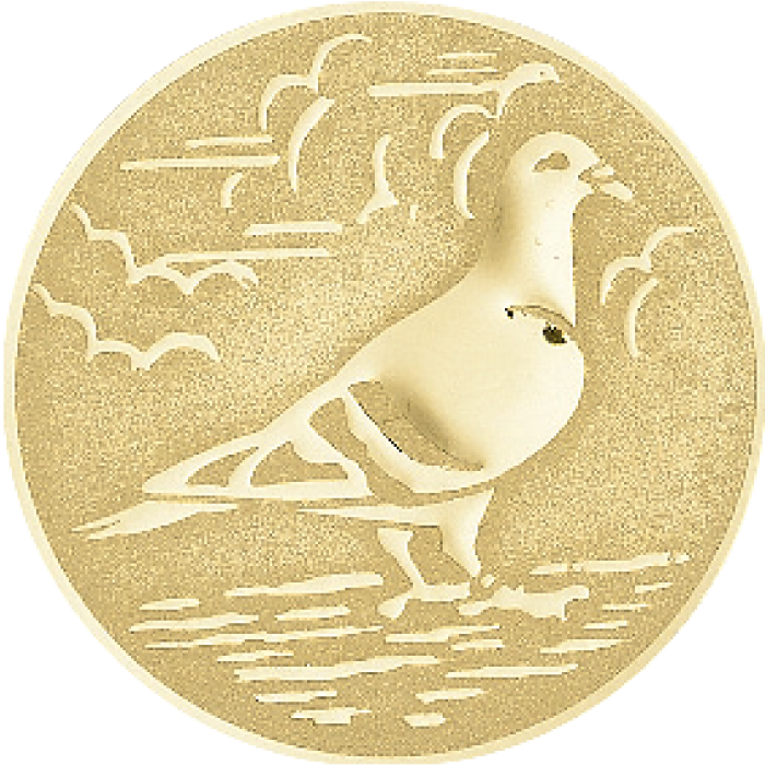 Trophée Personnalisé 61418-C